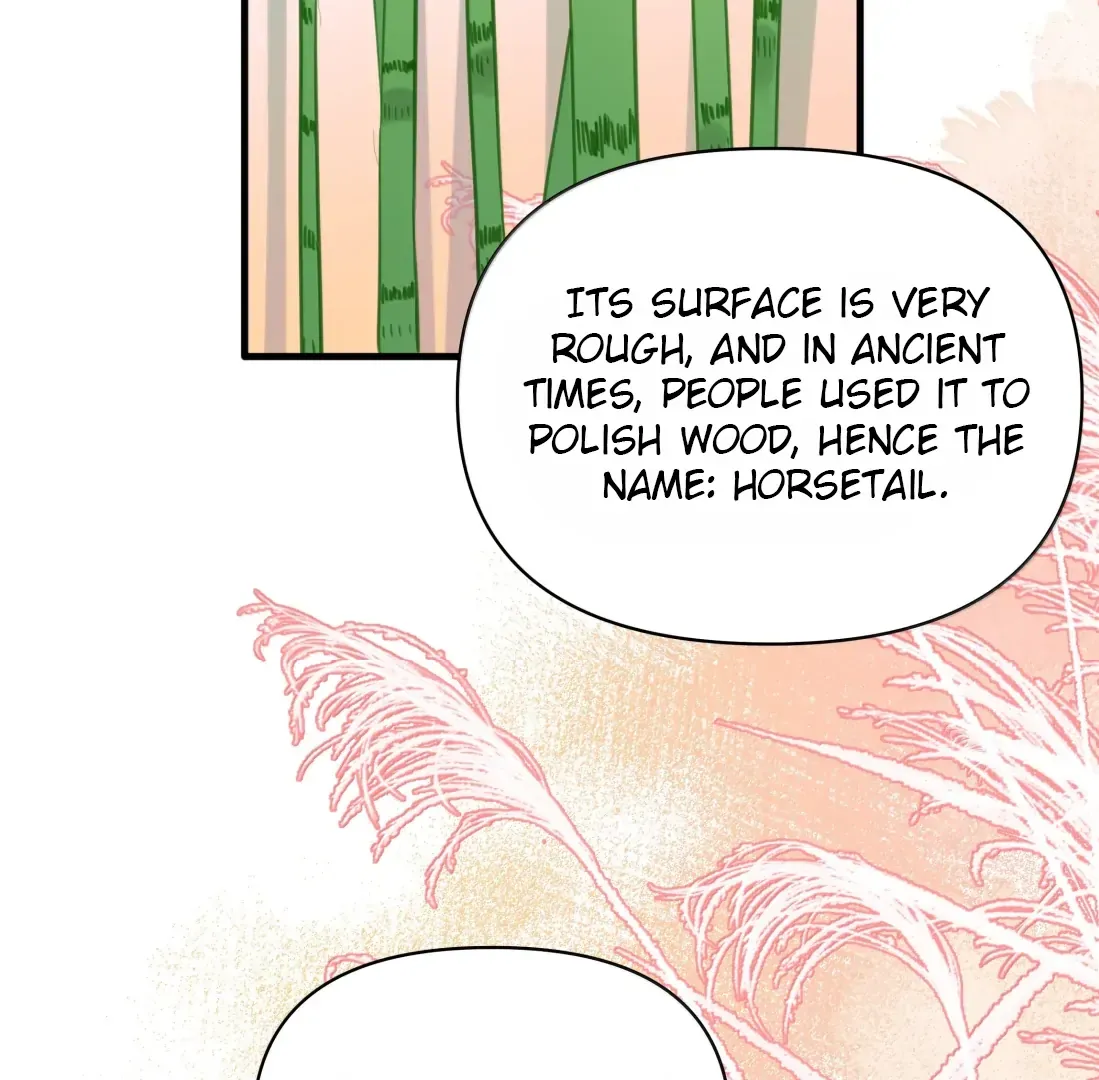 Falling in Love Gives Me Superpowers Chapter 96 page 38 - 