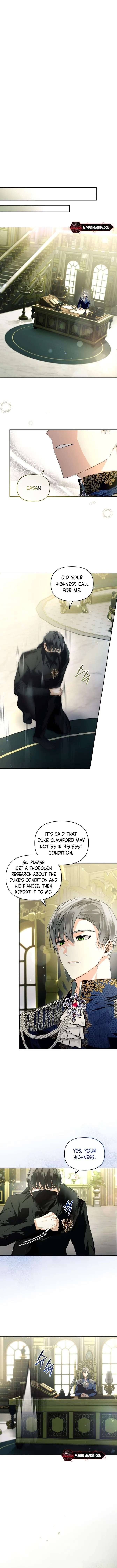 Falling Into the Arms of a Mad Villain Chapter 11 page 11 - 