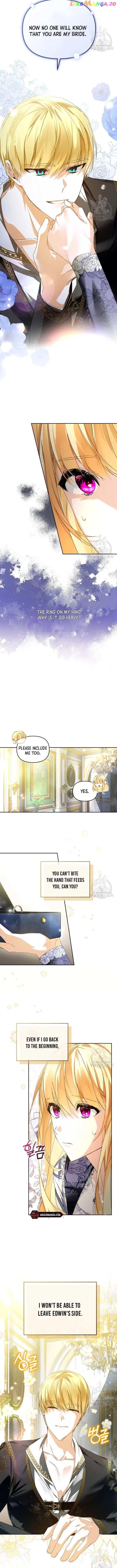 Falling Into the Arms of a Mad Villain Chapter 14 page 5 - 