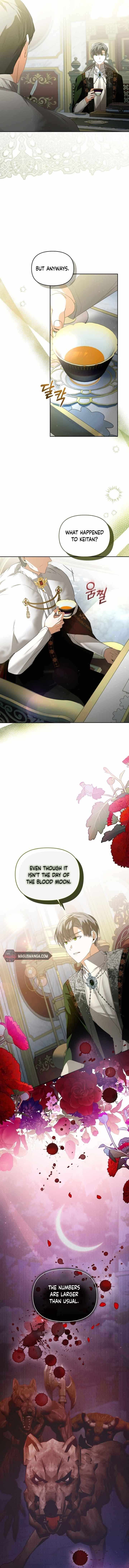 Falling Into the Arms of a Mad Villain Chapter 32 page 13 - 