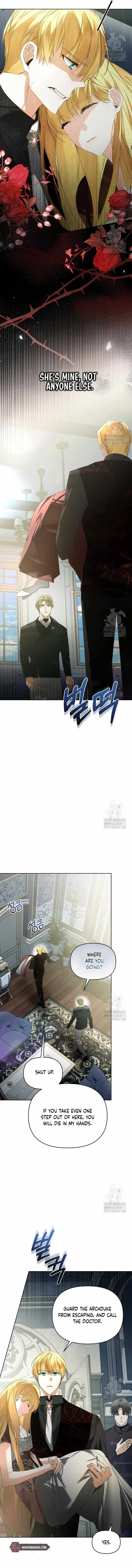 Falling Into the Arms of a Mad Villain Chapter 35 page 15 - 