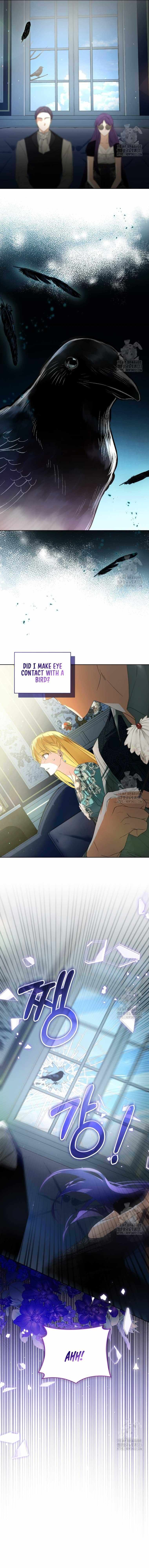 Falling Into the Arms of a Mad Villain Chapter 39 page 15 - 