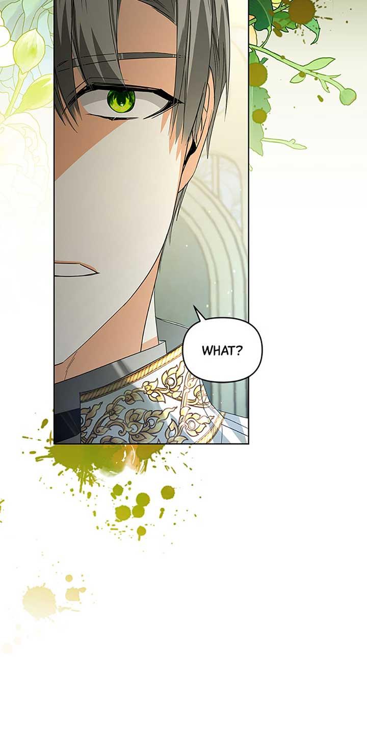 Falling Into the Arms of a Mad Villain Chapter 43 page 68 - 