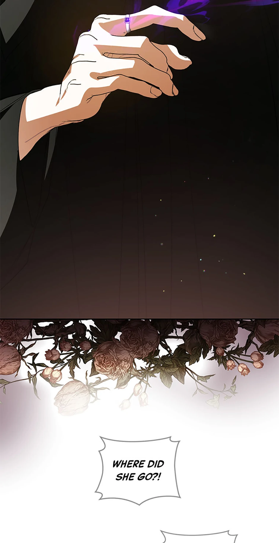 Falling Into the Arms of a Mad Villain Chapter 47 page 48 - 