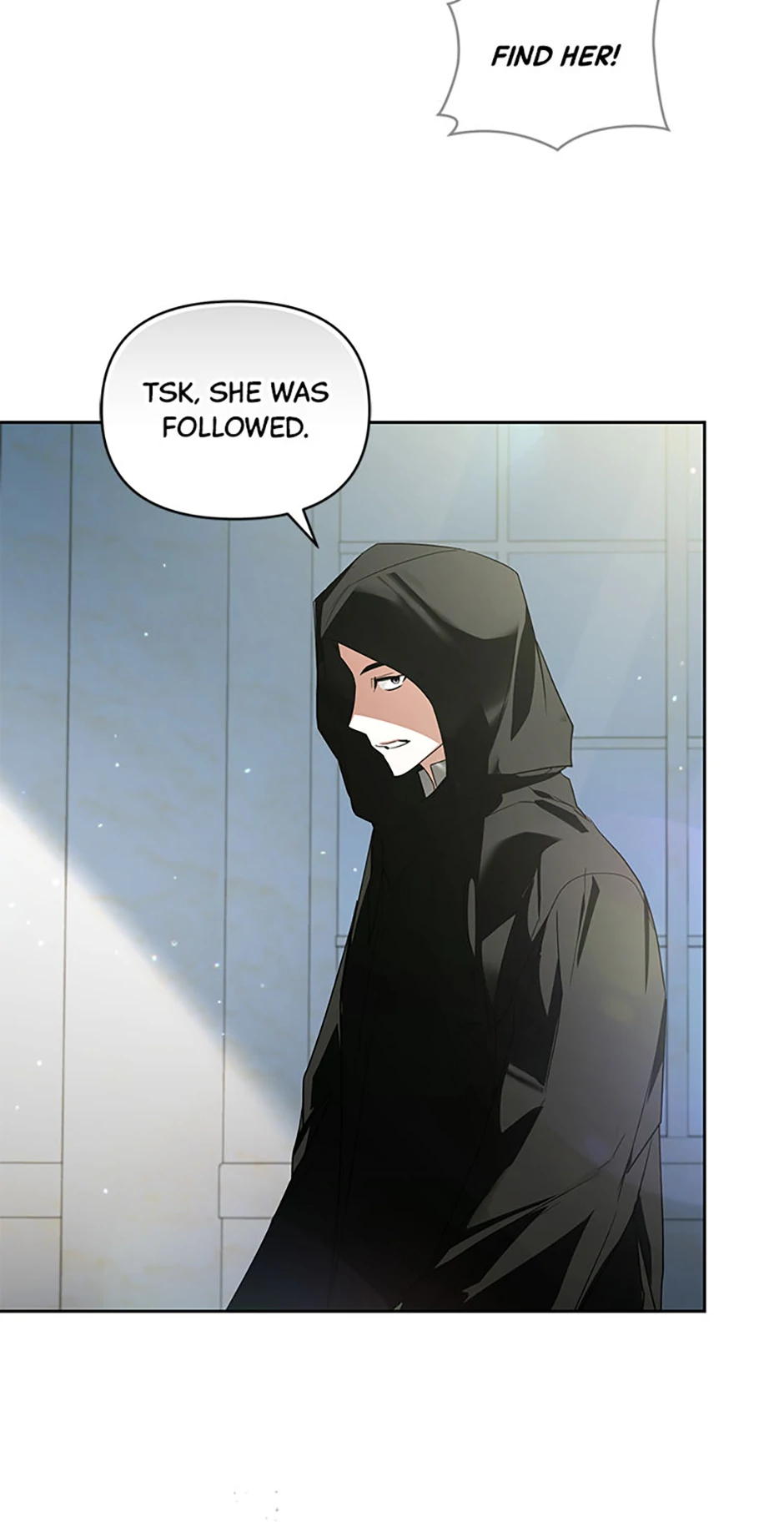 Falling Into the Arms of a Mad Villain Chapter 47 page 49 - 