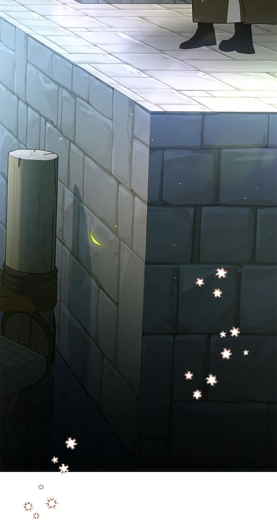 Falling Into the Arms of a Mad Villain Chapter 50 page 83 - 