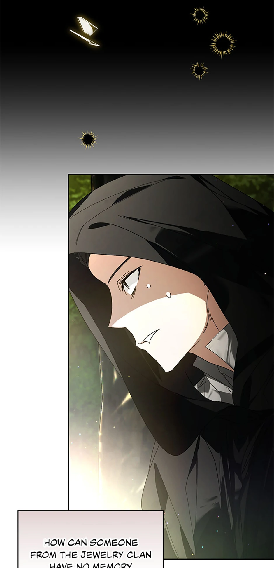 Falling Into the Arms of a Mad Villain Chapter 51 page 14 - 