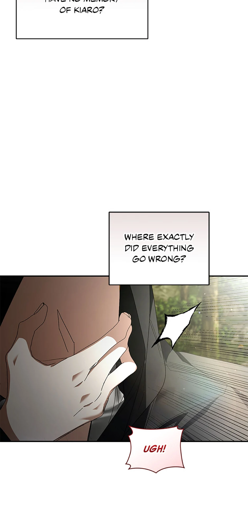 Falling Into the Arms of a Mad Villain Chapter 51 page 15 - 