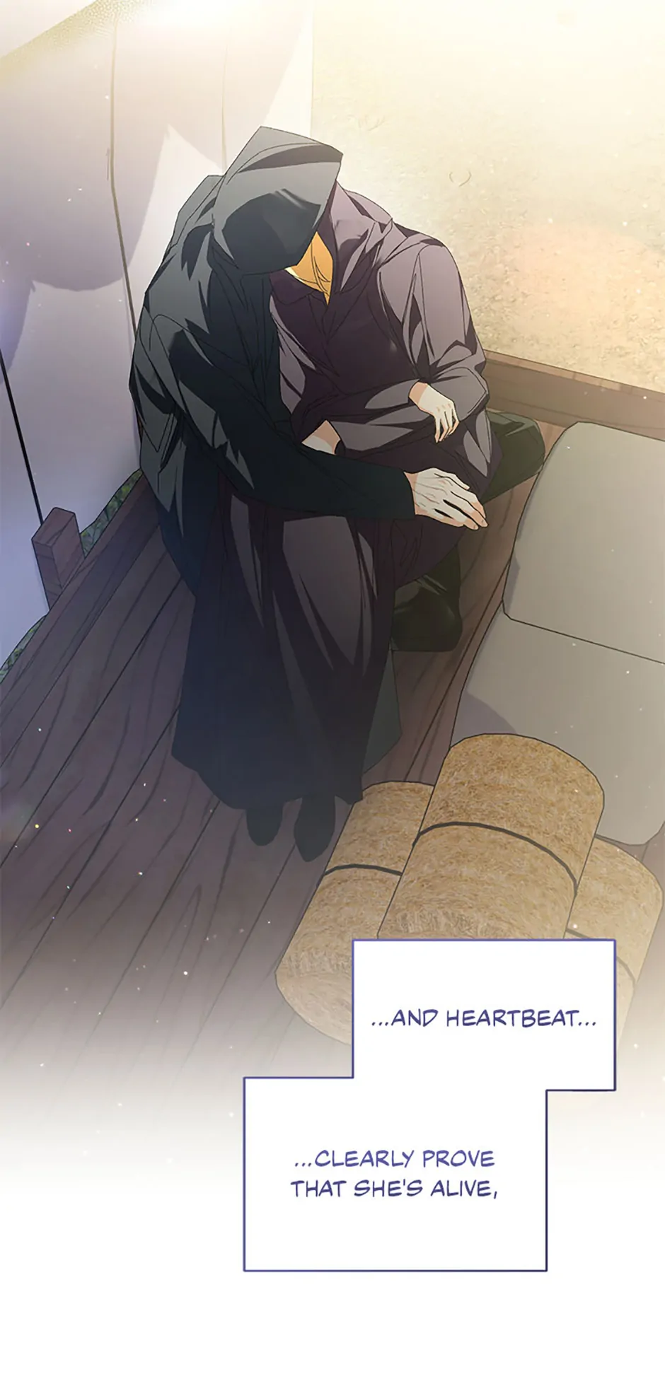 Falling Into the Arms of a Mad Villain Chapter 52 page 29 - 