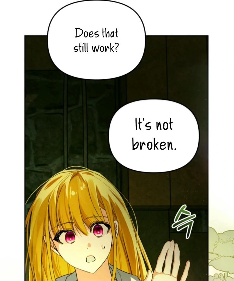 Falling Into the Arms of a Mad Villain Chapter 65 page 43 - 