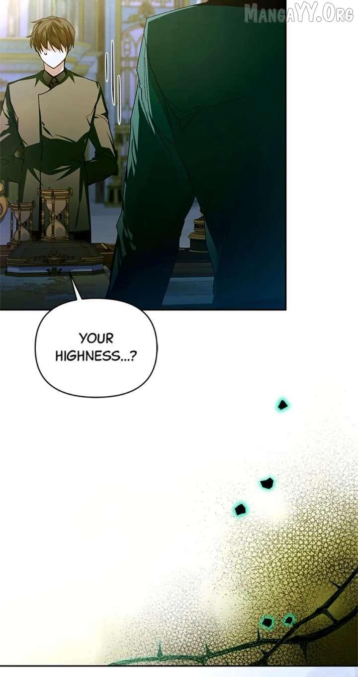 Falling Into the Arms of a Mad Villain Chapter 67 page 63 - 