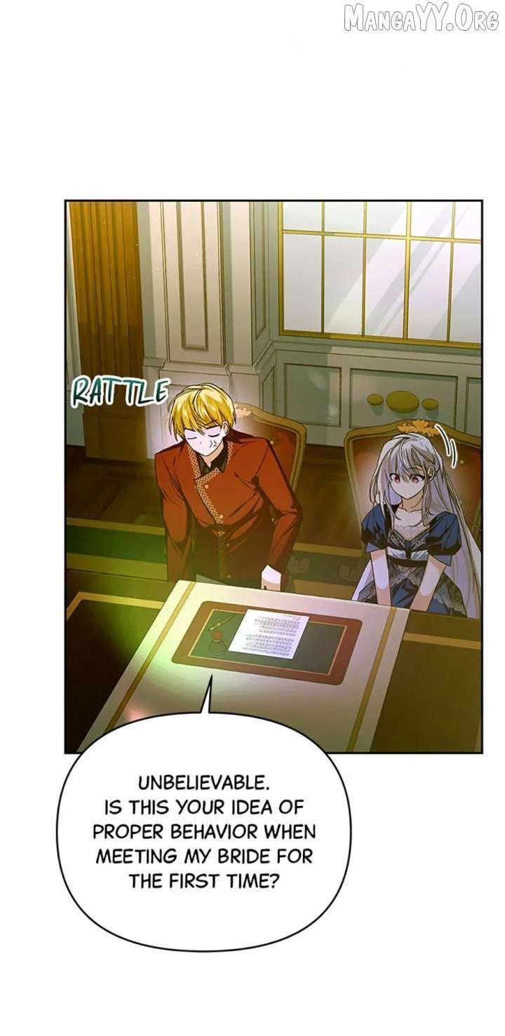 Falling Into the Arms of a Mad Villain Chapter 72 page 28 - 