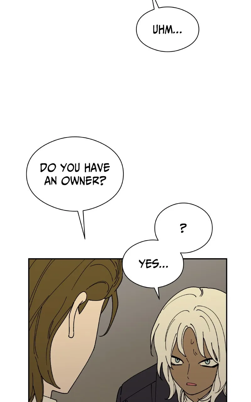 False Paradise Chapter 39 page 16 - 