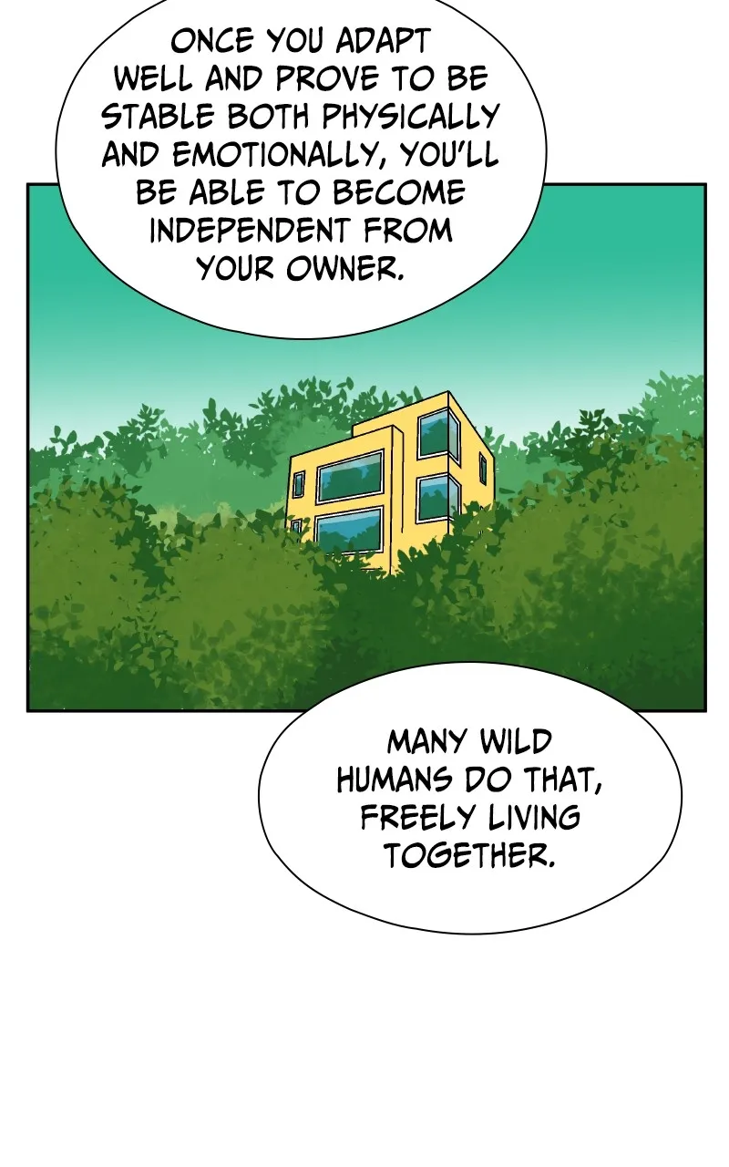 False Paradise Chapter 7 page 7 - 