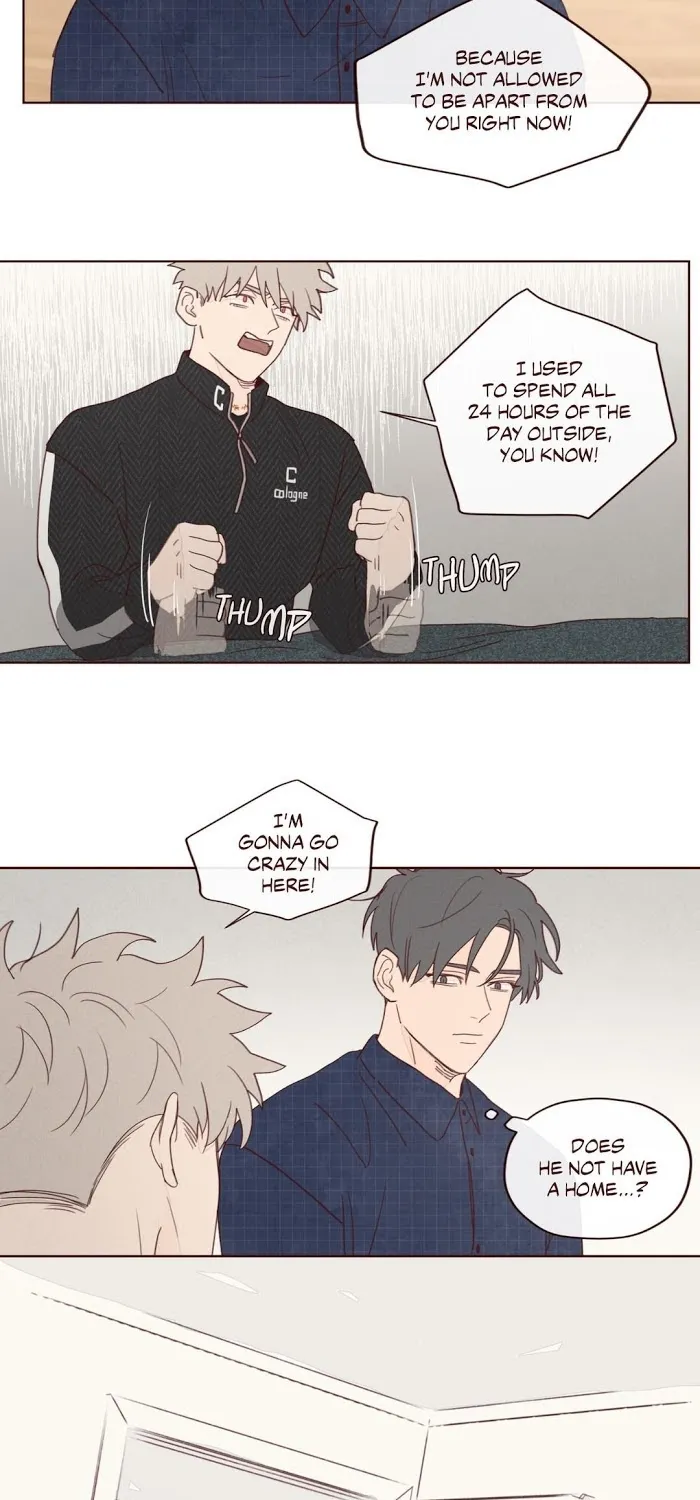 Fate Makes No Mistakes Chapter 10 page 17 - 