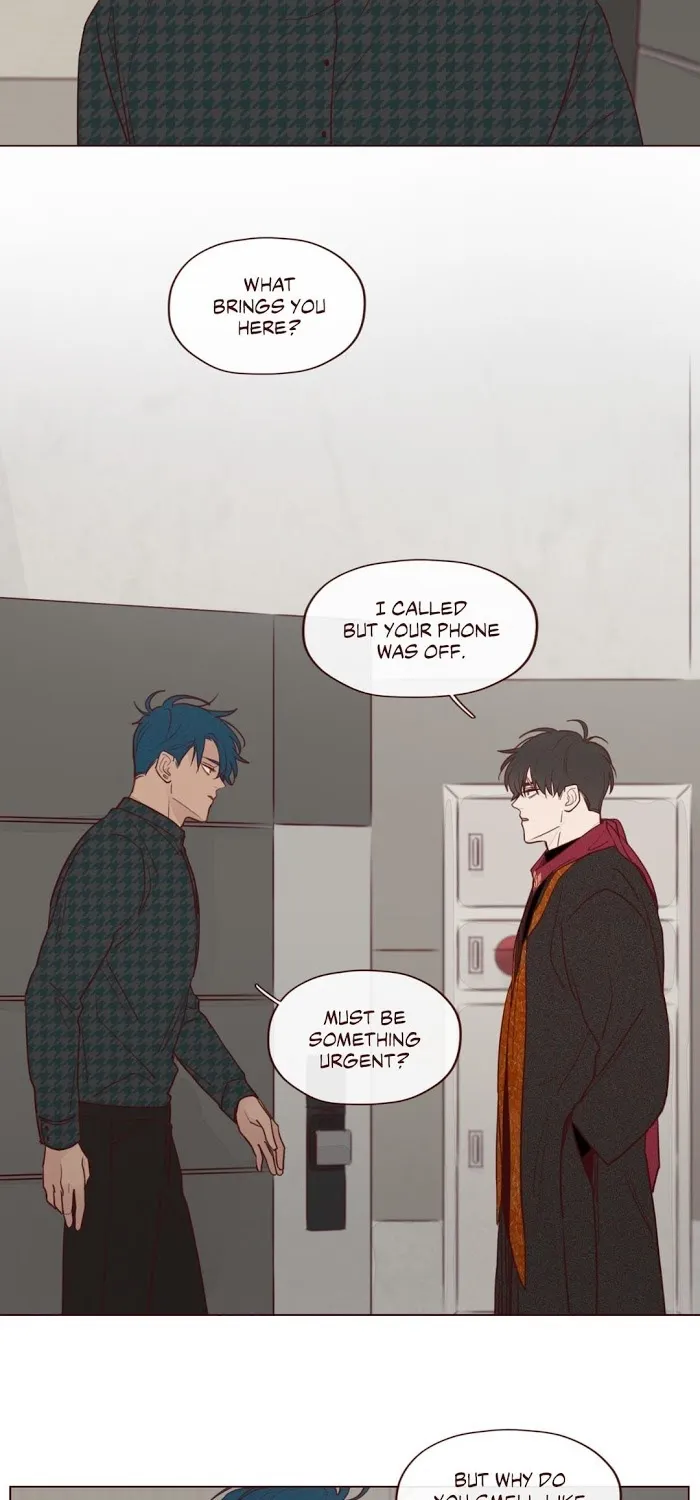 Fate Makes No Mistakes Chapter 12 page 15 - 