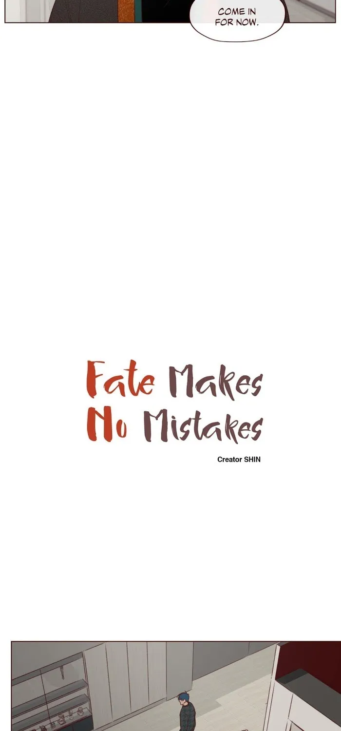 Fate Makes No Mistakes Chapter 12 page 17 - 
