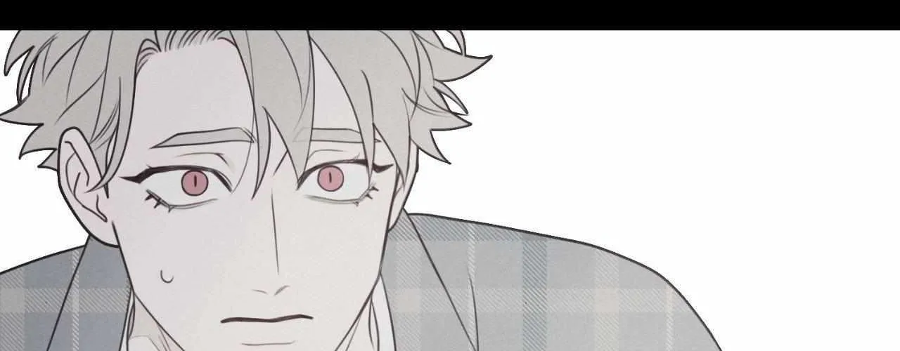 Fate Makes No Mistakes Chapter 133 page 104 - 