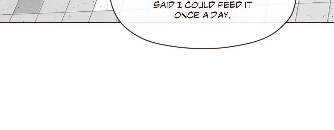 Fate Makes No Mistakes Chapter 139 page 41 - 
