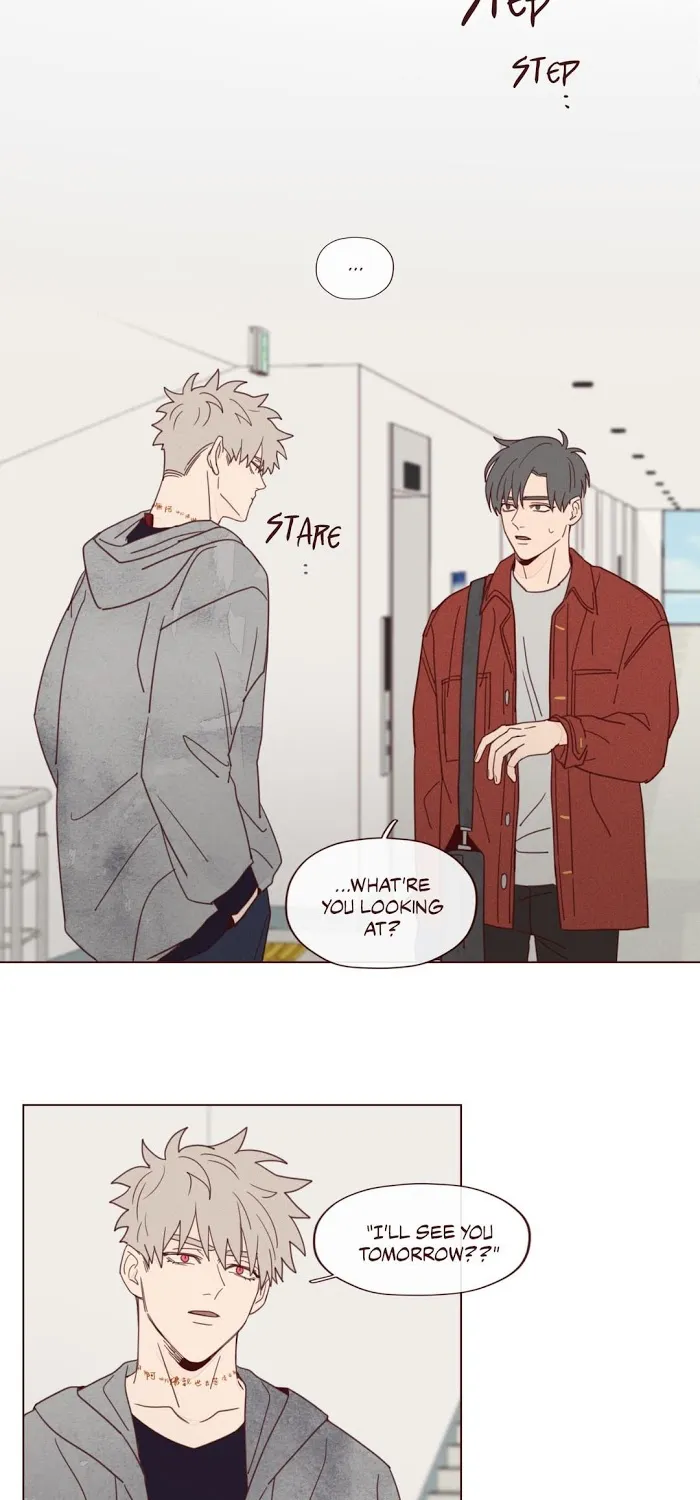 Fate Makes No Mistakes Chapter 14 page 33 - 