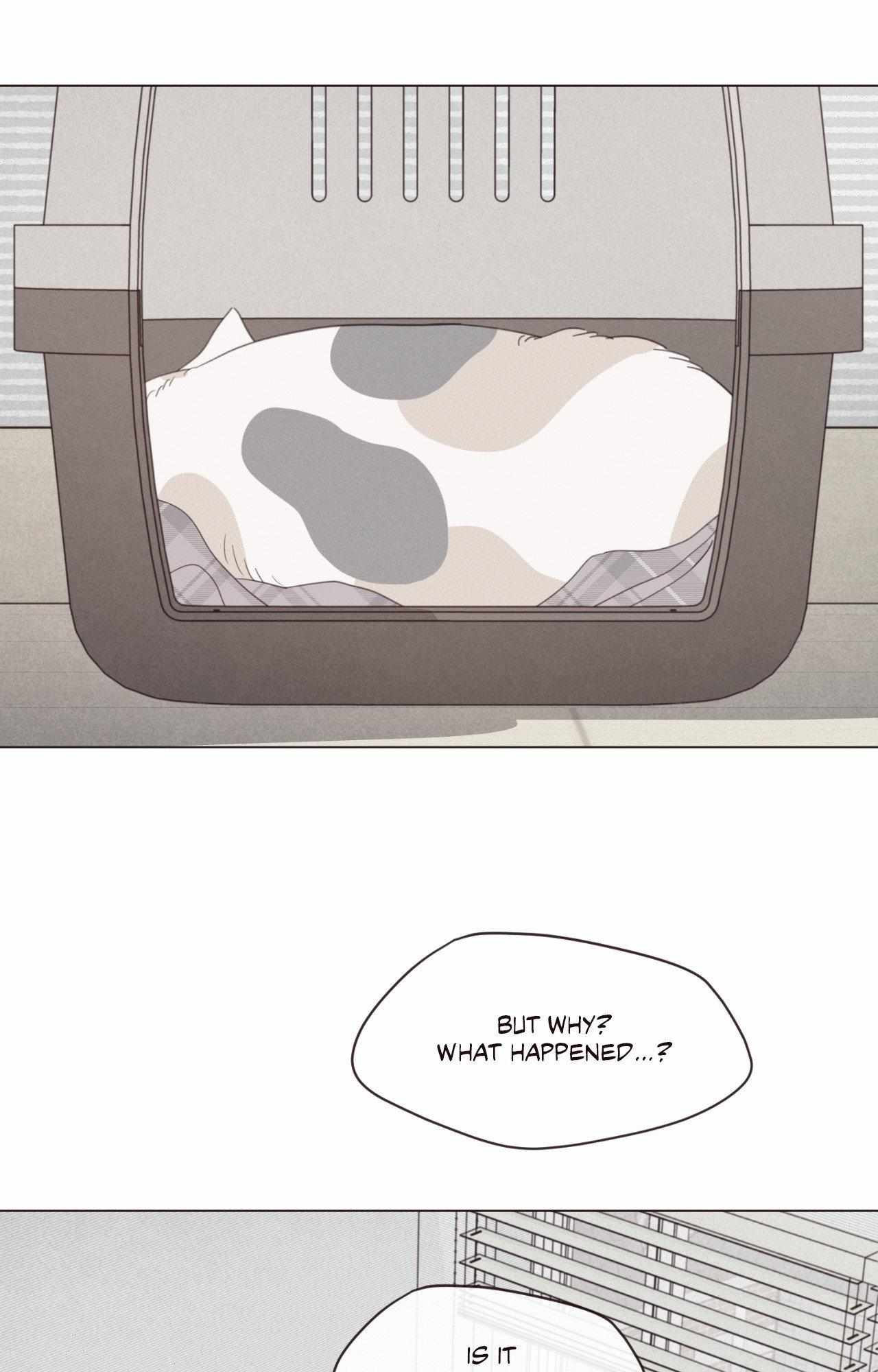 Fate Makes No Mistakes Chapter 156 page 55 - 