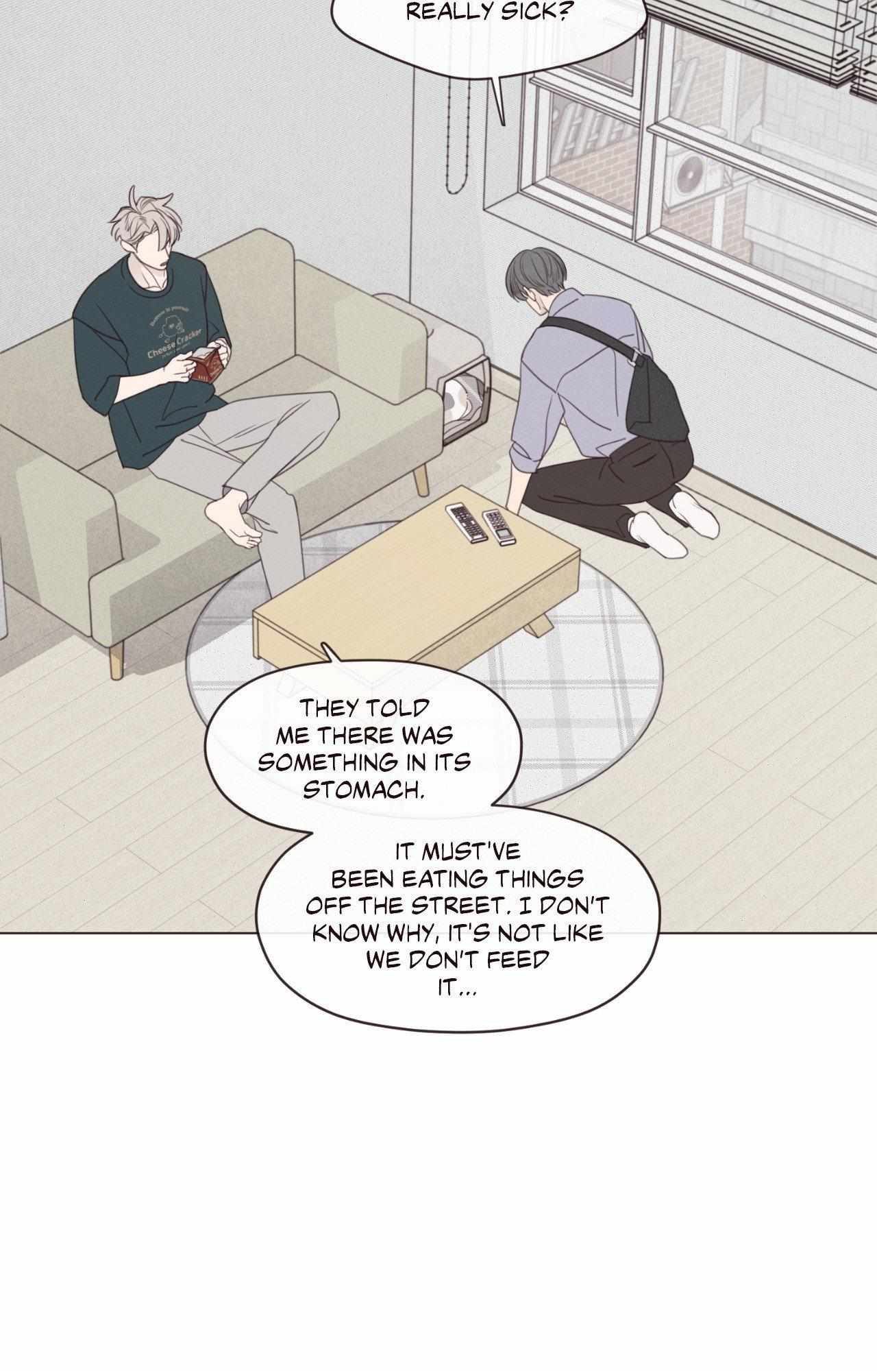Fate Makes No Mistakes Chapter 156 page 56 - 