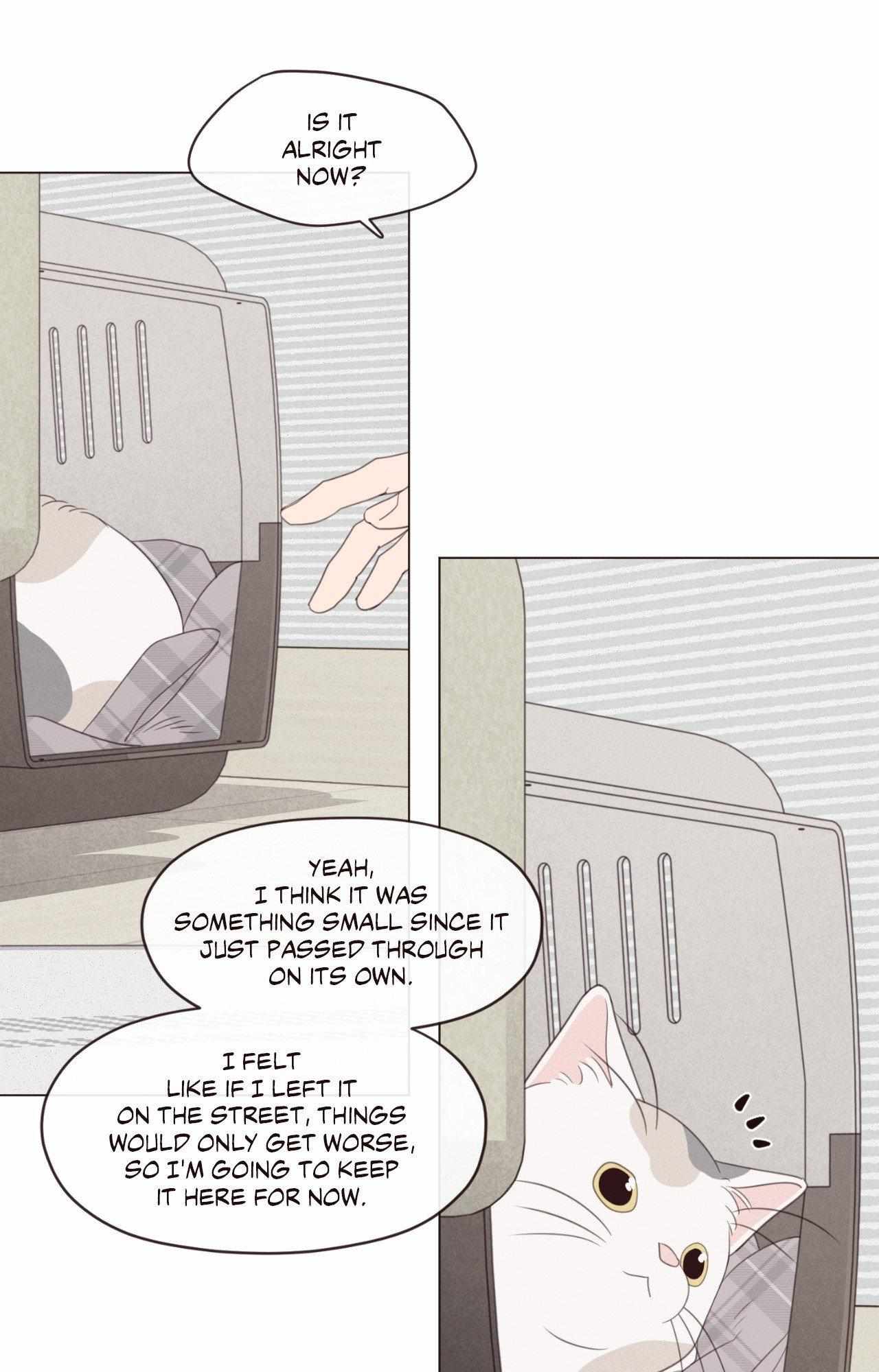 Fate Makes No Mistakes Chapter 156 page 57 - 