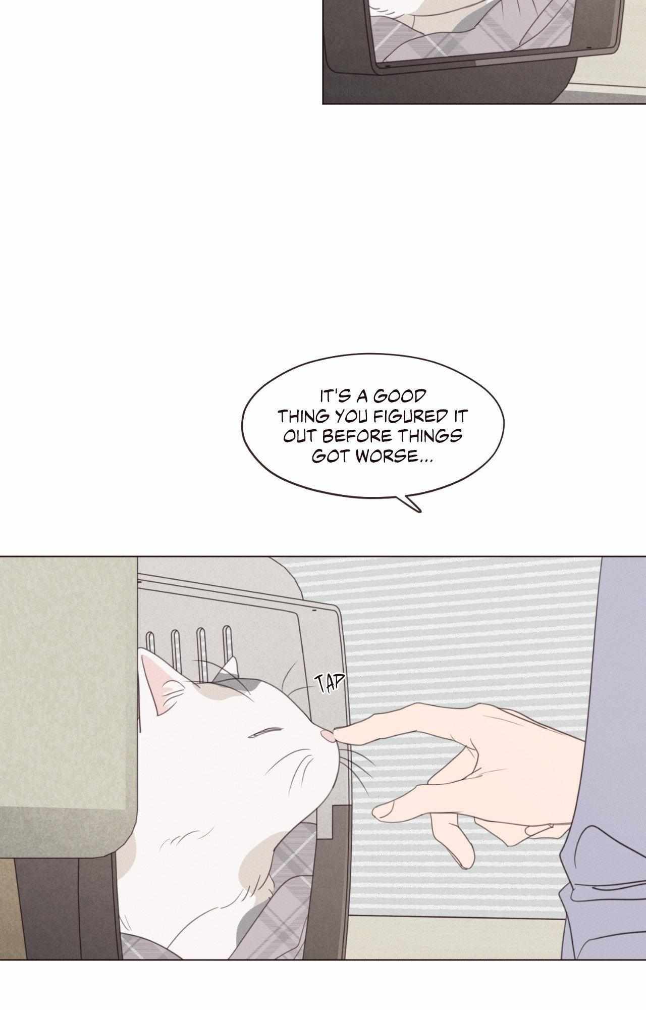 Fate Makes No Mistakes Chapter 156 page 58 - 