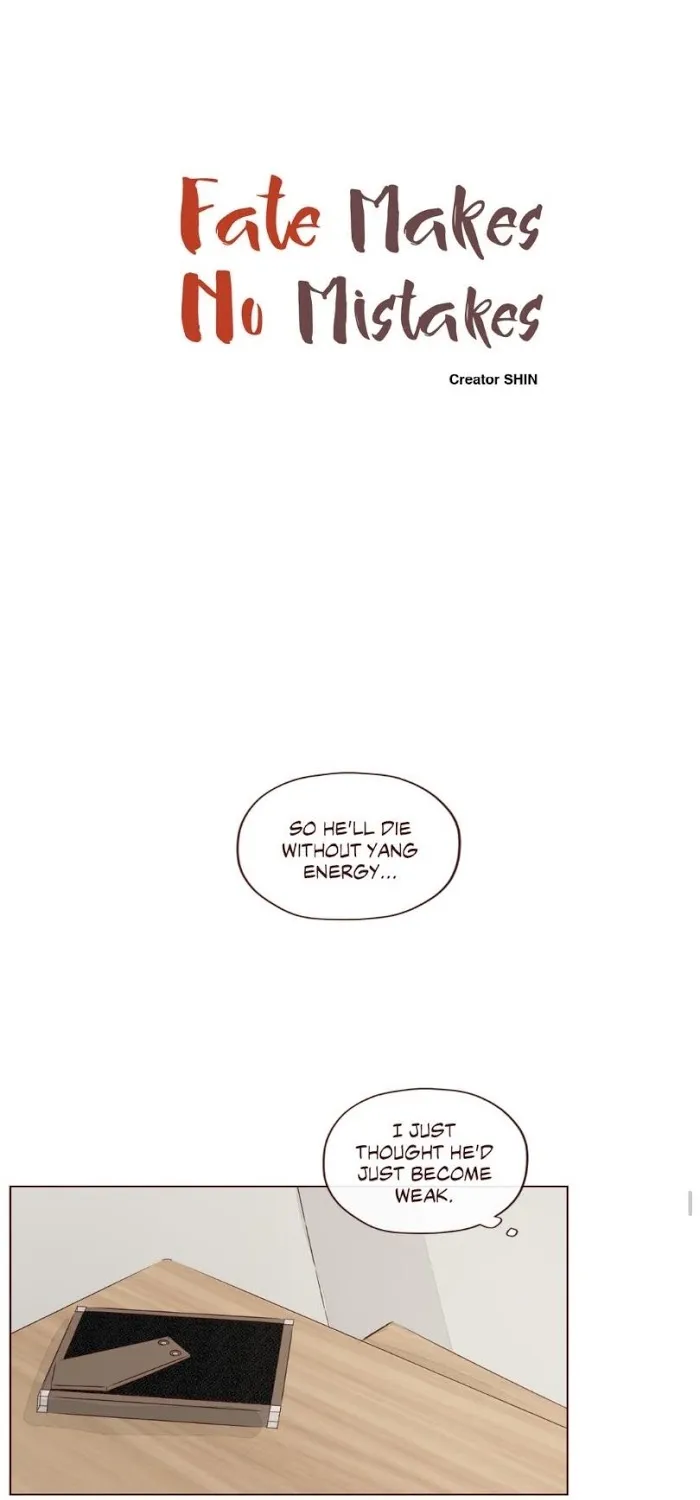 Fate Makes No Mistakes Chapter 16 page 15 - 