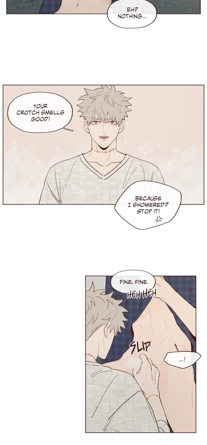 Fate Makes No Mistakes Chapter 17 page 12 - 