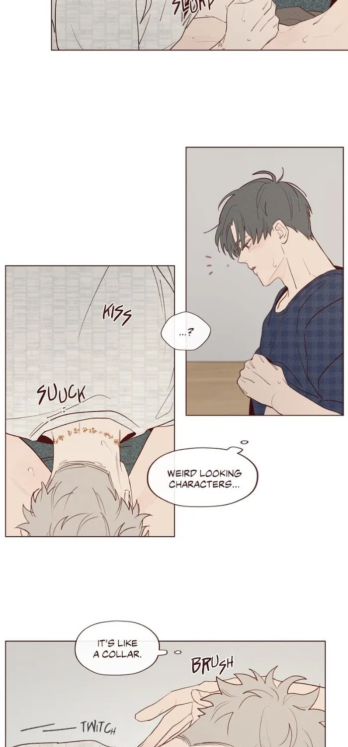 Fate Makes No Mistakes Chapter 17 page 18 - 