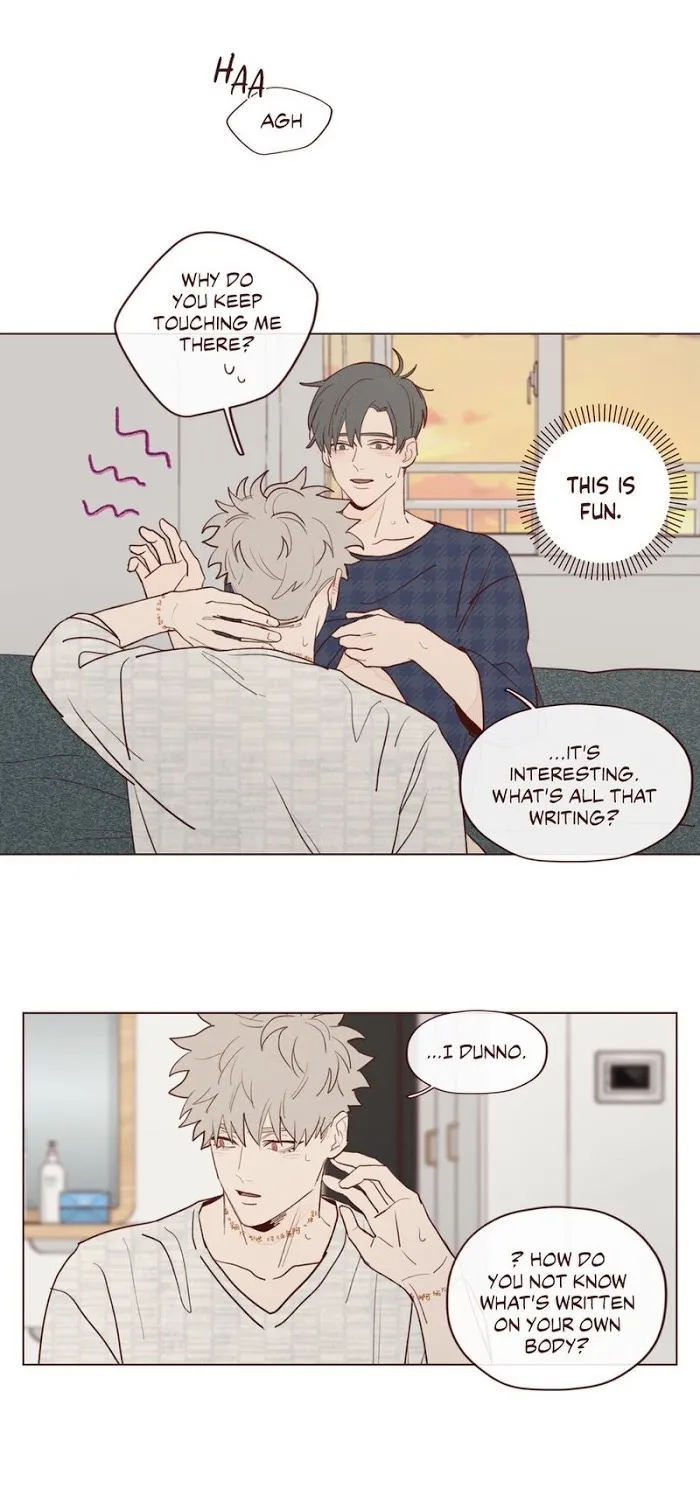 Fate Makes No Mistakes Chapter 17 page 20 - 