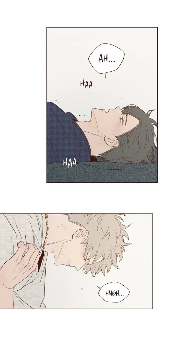 Fate Makes No Mistakes Chapter 18 page 15 - 