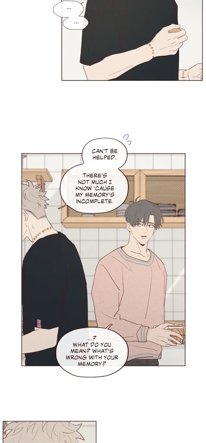 Fate Makes No Mistakes Chapter 19 page 16 - 