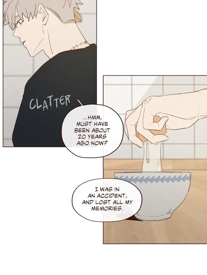 Fate Makes No Mistakes Chapter 19 page 17 - 
