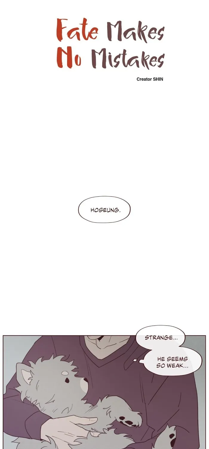 Fate Makes No Mistakes Chapter 23 page 7 - 