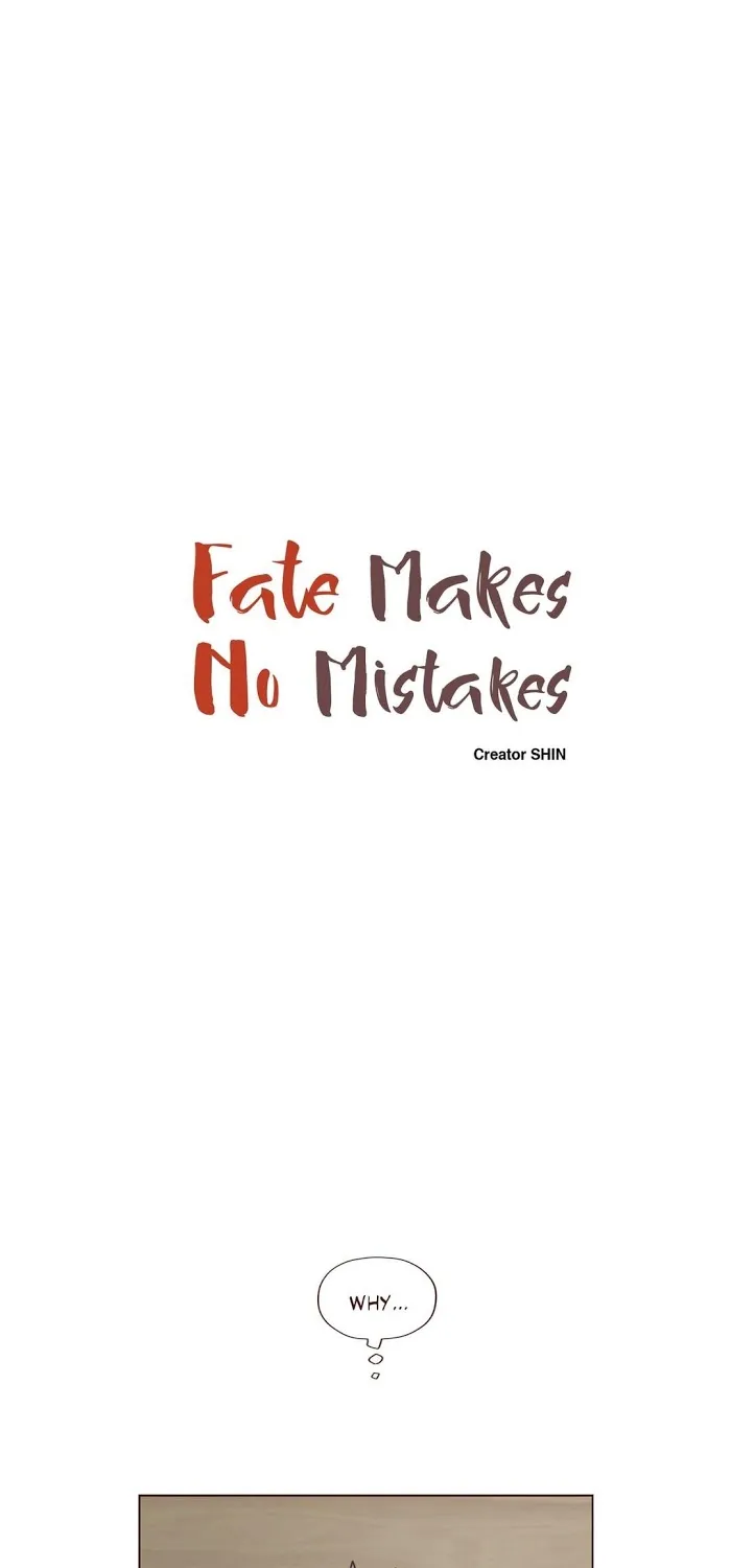 Fate Makes No Mistakes Chapter 24 page 3 - 