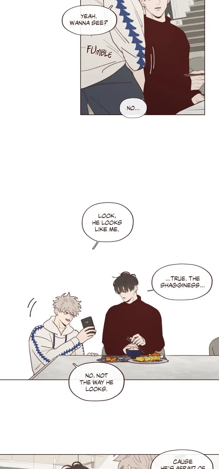 Fate Makes No Mistakes Chapter 26 page 39 - 