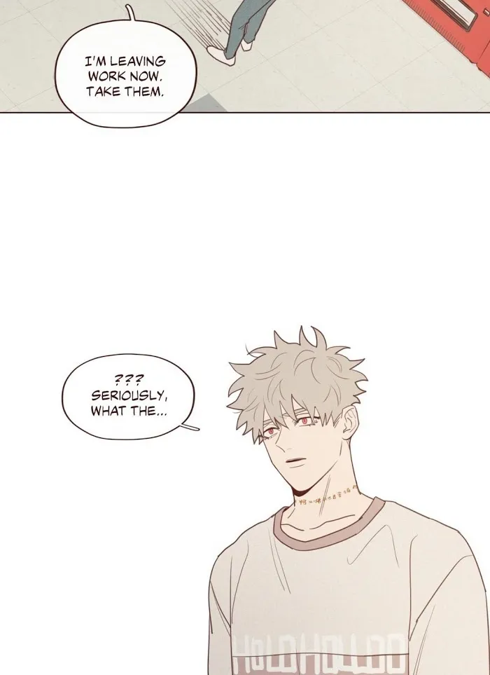 Fate Makes No Mistakes Chapter 28 page 14 - 