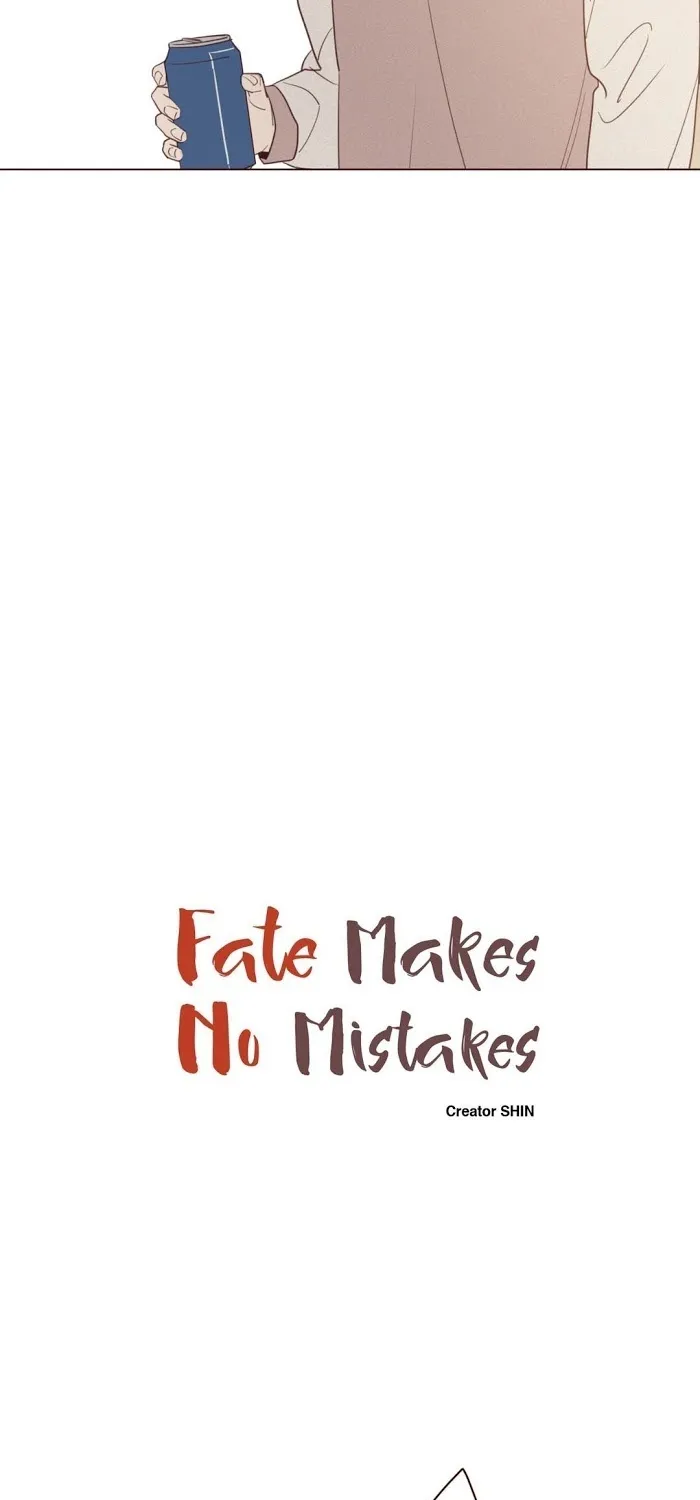 Fate Makes No Mistakes Chapter 28 page 15 - 