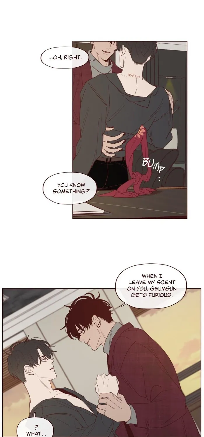 Fate Makes No Mistakes Chapter 28 page 31 - 
