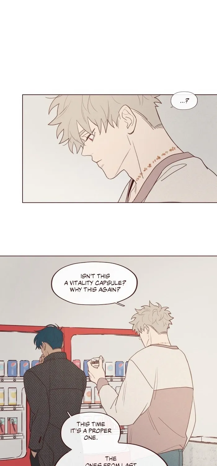 Fate Makes No Mistakes Chapter 28 page 5 - 