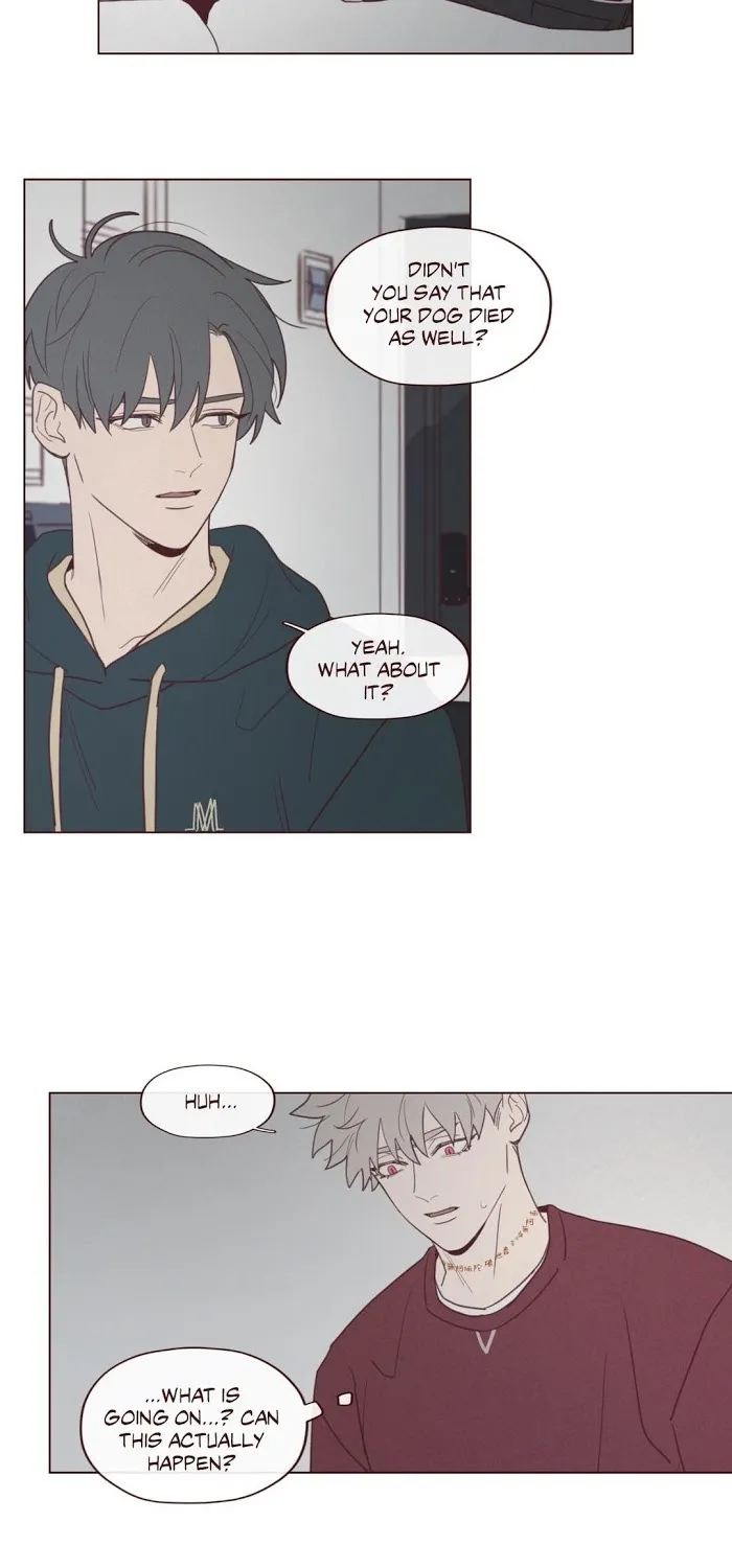 Fate Makes No Mistakes Chapter 30 page 31 - 