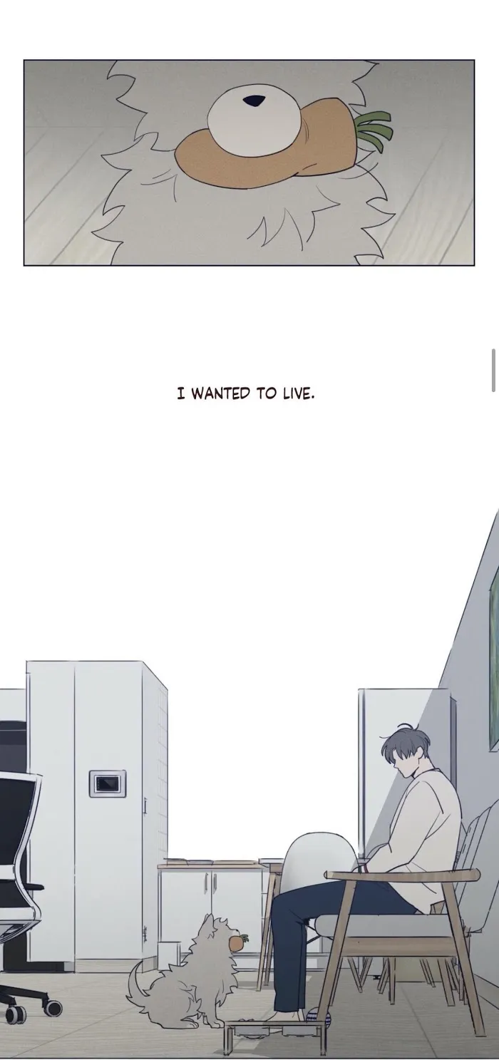 Fate Makes No Mistakes Chapter 38 page 11 - 
