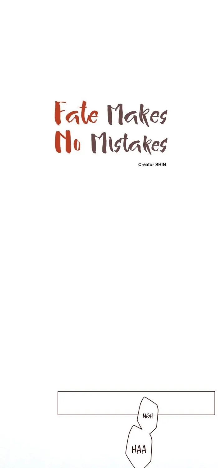 Fate Makes No Mistakes Chapter 43 page 16 - 
