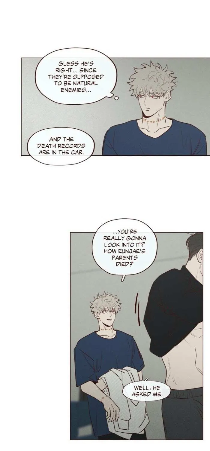 Fate Makes No Mistakes Chapter 48 page 4 - 