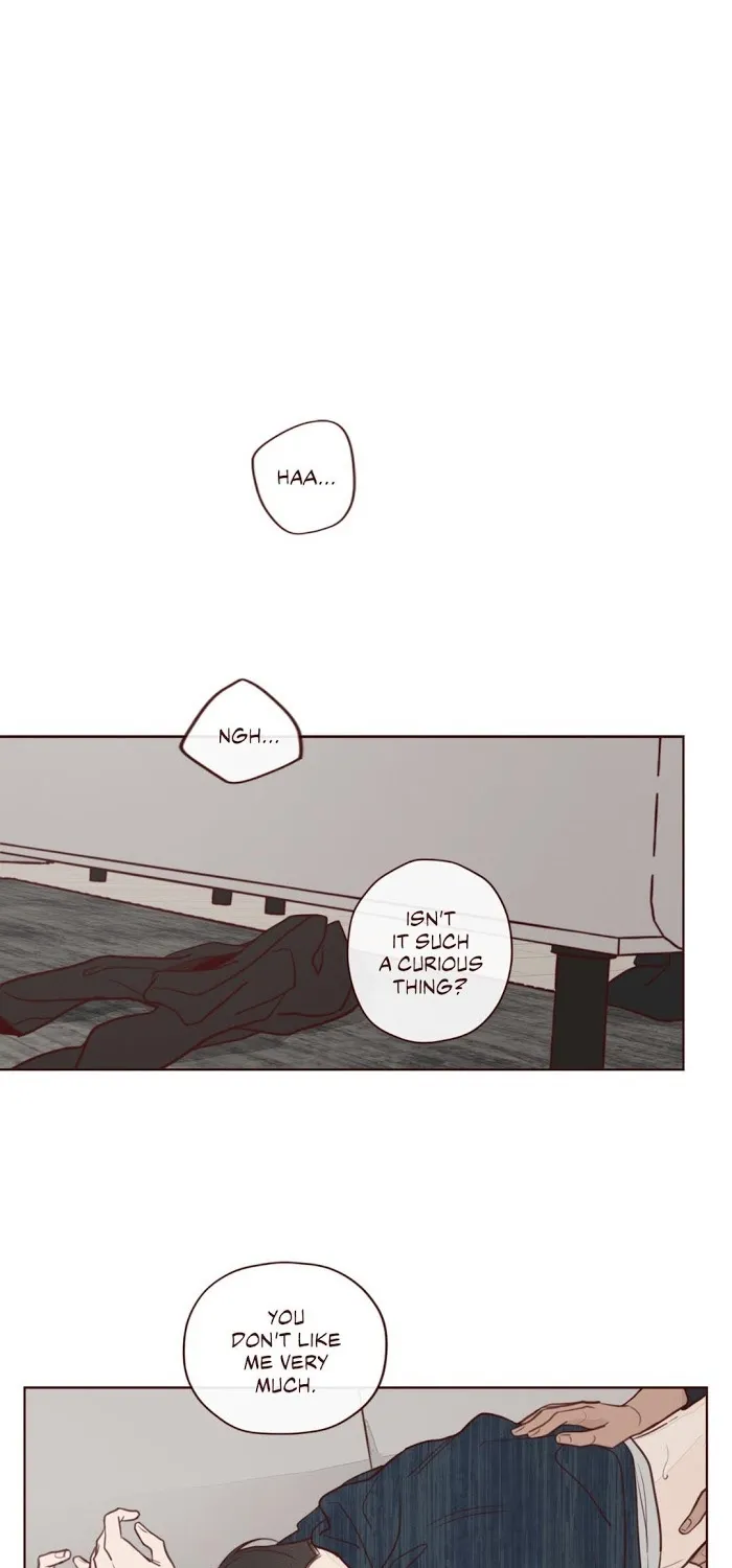 Fate Makes No Mistakes Chapter 5 page 1 - 