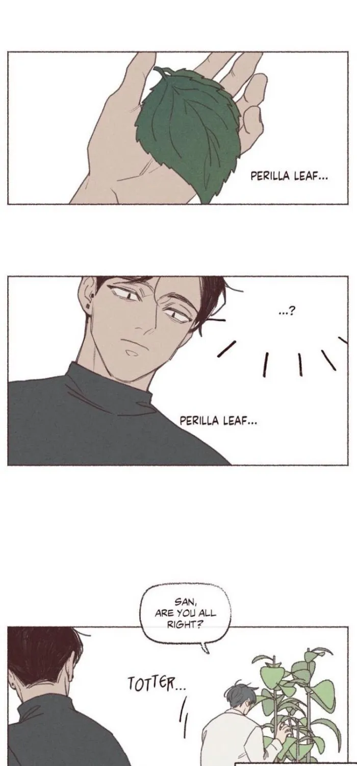 Fate Makes No Mistakes Chapter 58.5 page 14 - 
