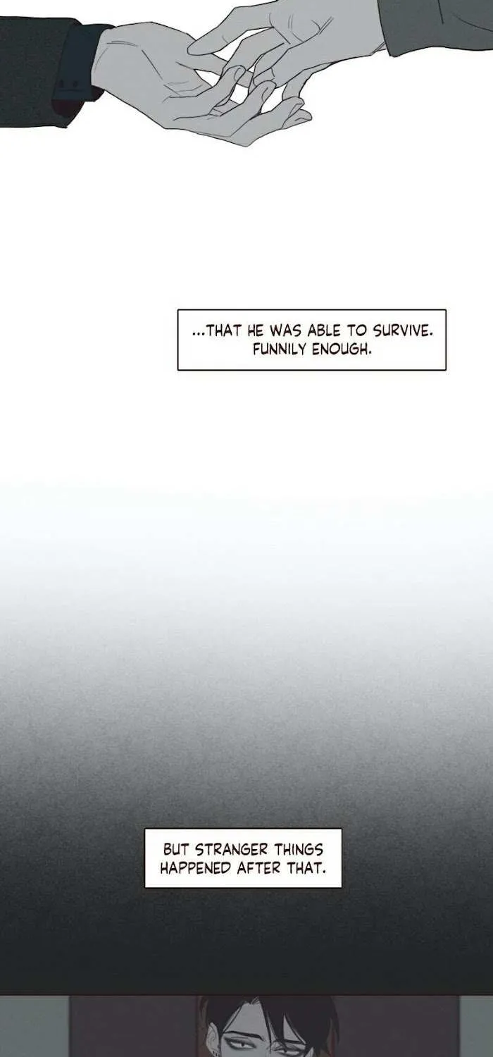 Fate Makes No Mistakes Chapter 60 page 24 - 