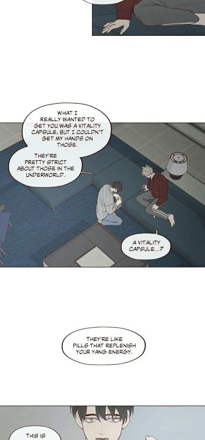 Fate Makes No Mistakes Chapter 61 page 17 - 